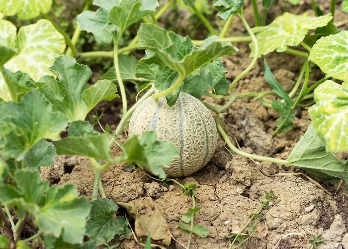 La Fabbrichina