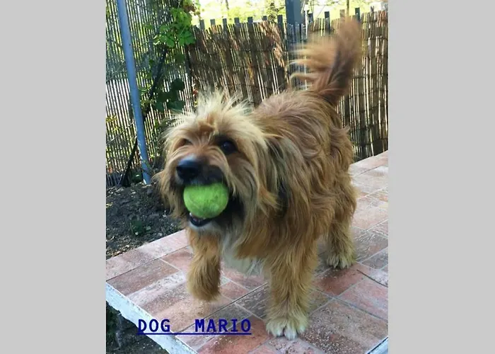 Casa vacanze La Fabbrichina