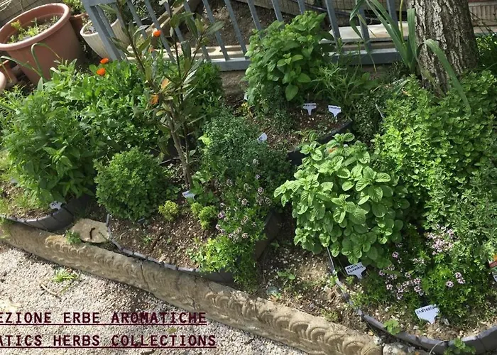 Casa vacanze La Fabbrichina Gambassi Terme