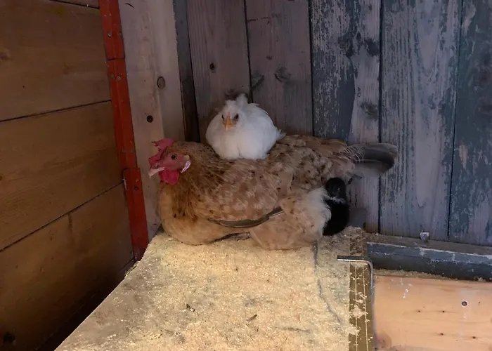 La Fabbrichina Gambassi Terme